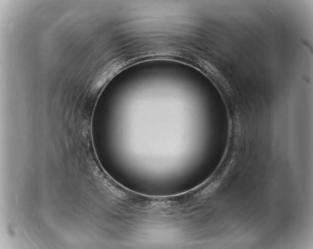 X0000101170985200807071217