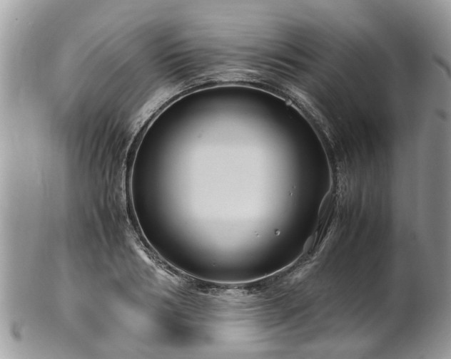 X0000101170986200807071217