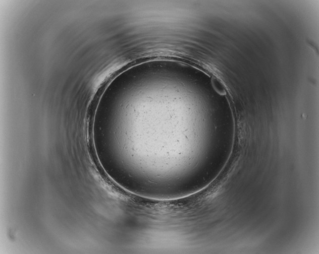 X0000101170987200807071217