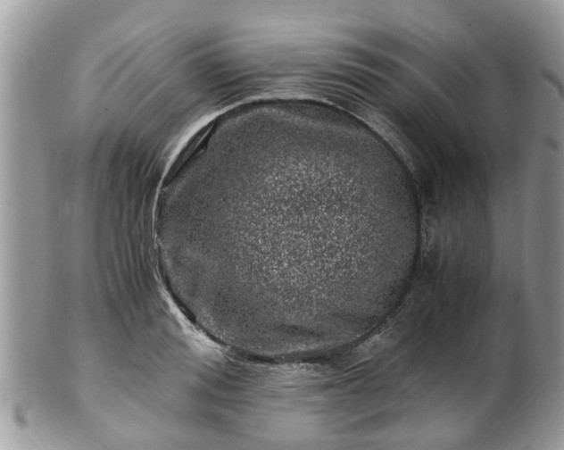 X0000101170988200807071217