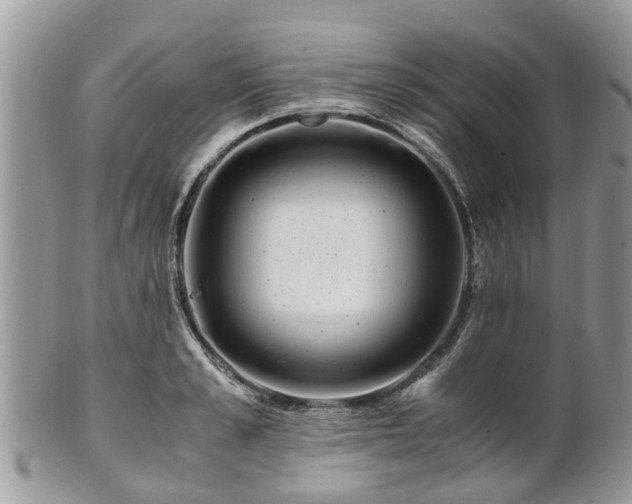 X0000101170989200807071217
