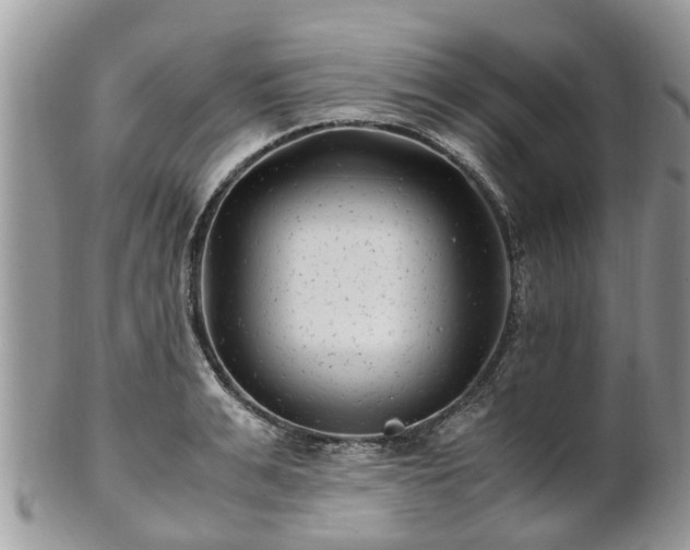 X0000101170991200807071217