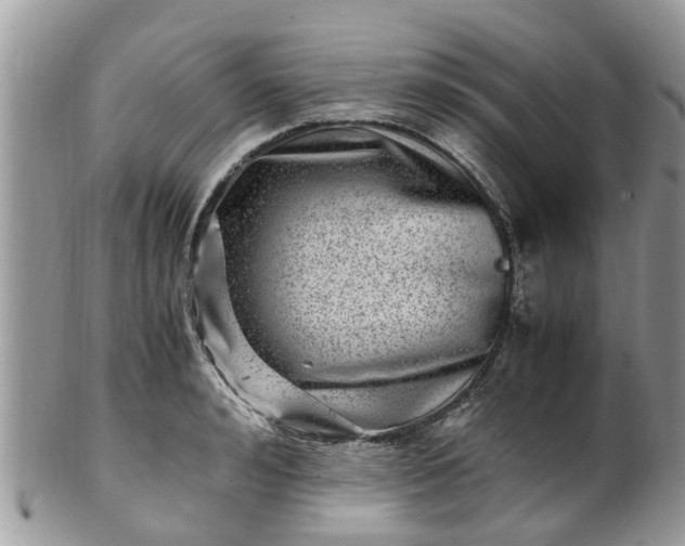 X0000101170992200807071217