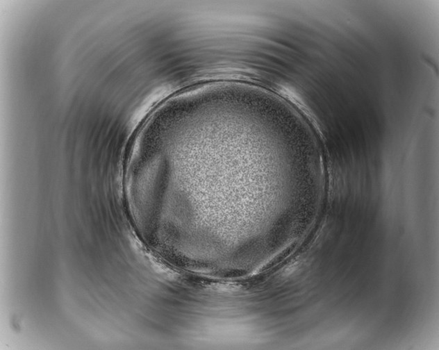 X0000101170994200807071217