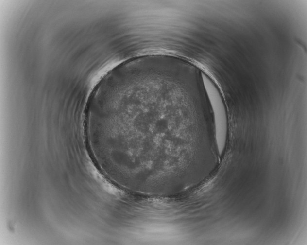 X0000101170995200807071217