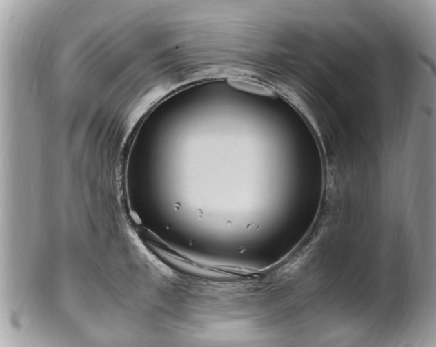 X0000101170997200807071217