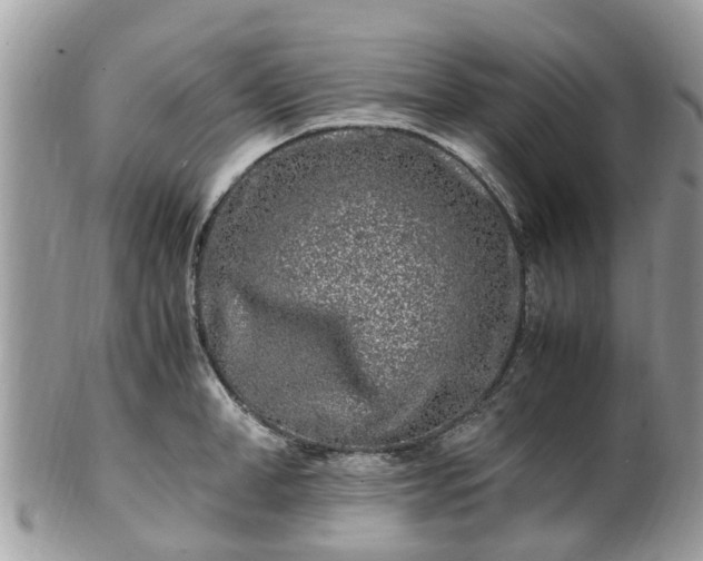 X0000101170998200807071217
