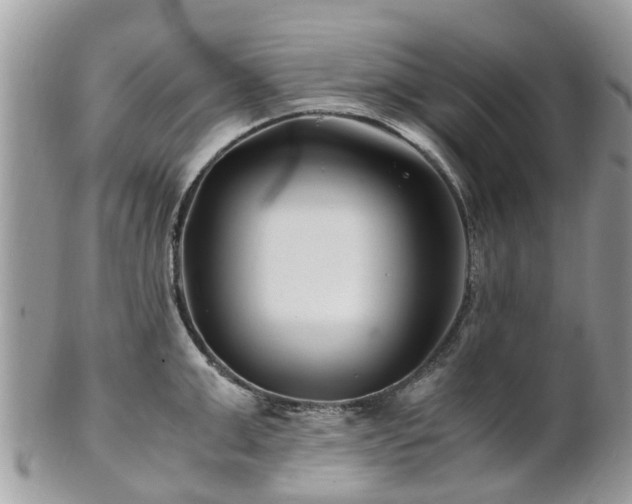 X0000101170999200807071217