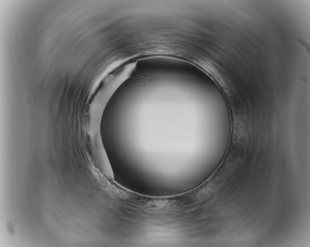 X0000101171000200807071217