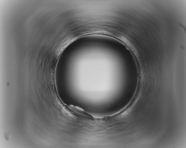 X0000101171001200807071217