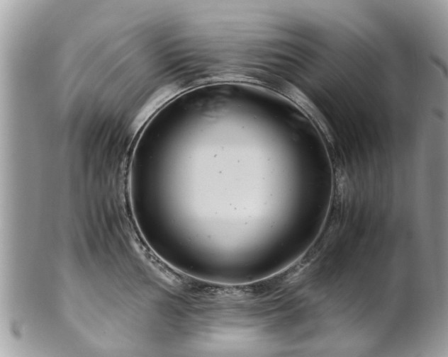 X0000101171002200807071217