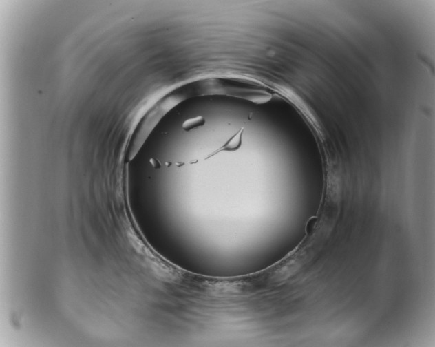 X0000101171004200807071217