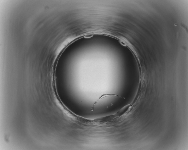 X0000101171005200807071217