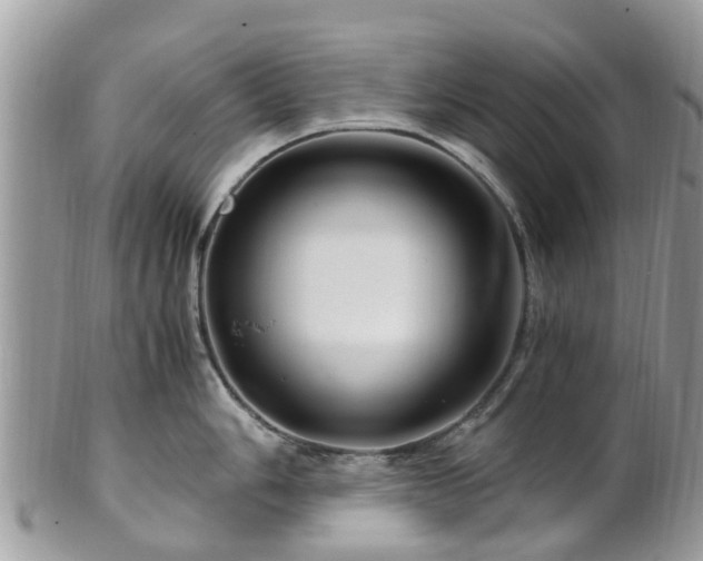 X0000101171006200807071217