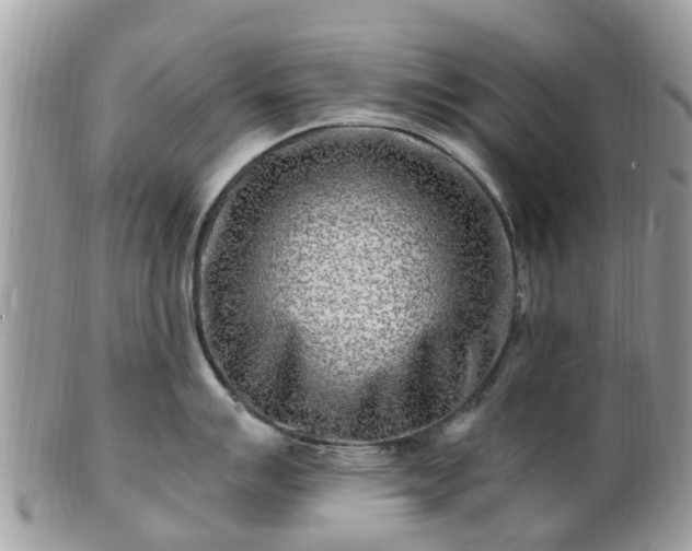 X0000101171007200807071217