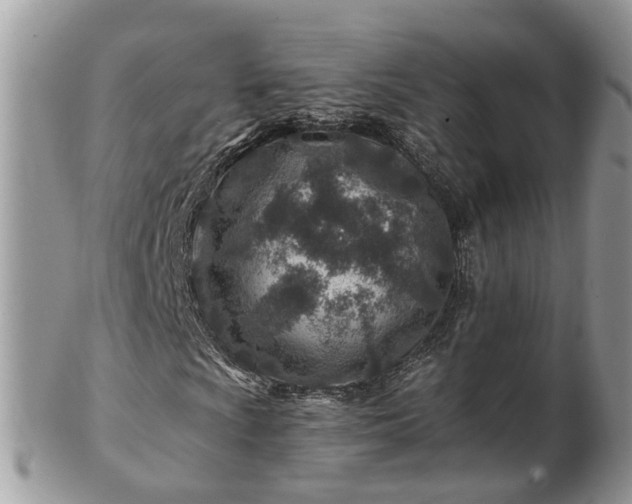 X0000101171009200807071216