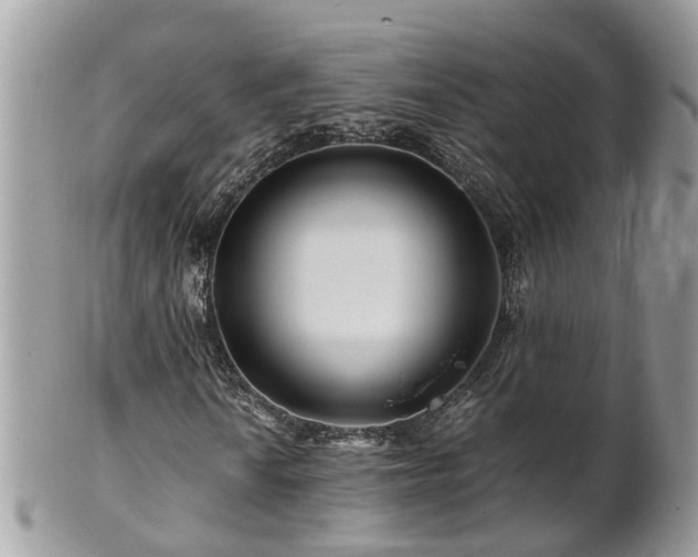 X0000101171010200807071216