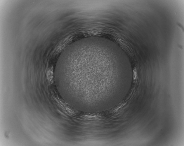X0000101171011200807071216