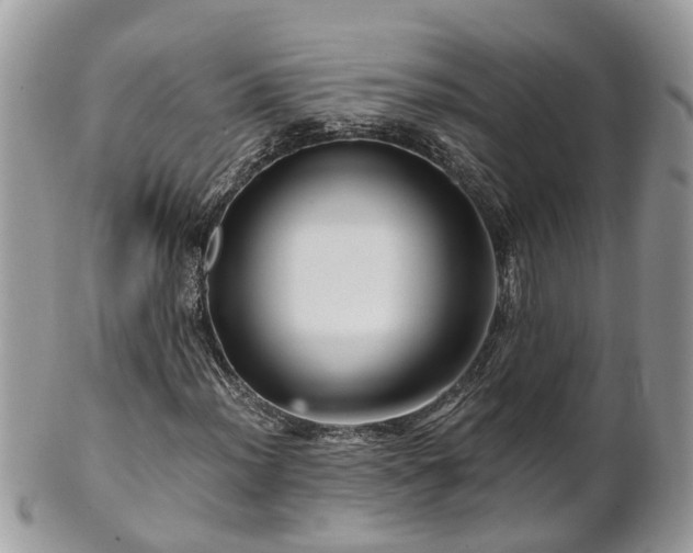 X0000101171012200807071216