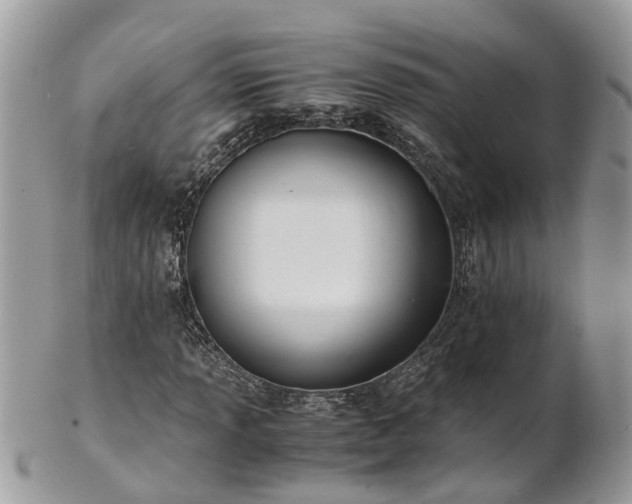 X0000101171013200807071216