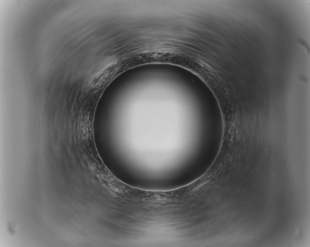 X0000101171014200807071216
