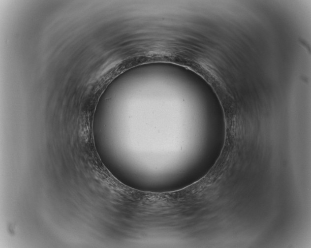 X0000101171015200807071216