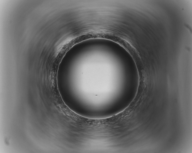 X0000101171016200807071216