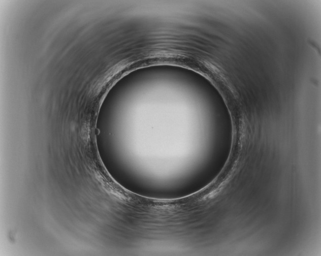 X0000101171017200807071216