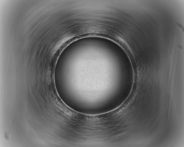 X0000101171019200807071216