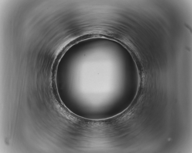 X0000101171020200807071216