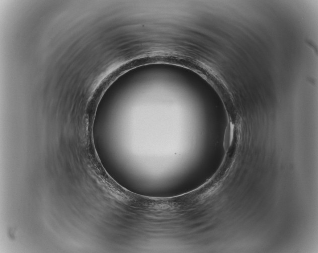 X0000101171021200807071216