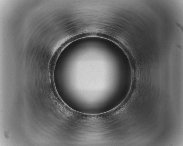 X0000101171022200807071216