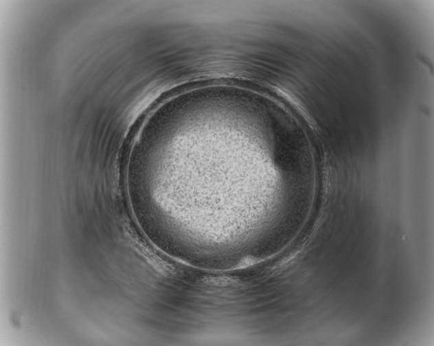 X0000101171023200807071216