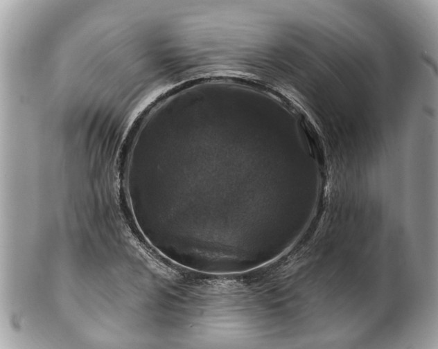 X0000101171024200807071216