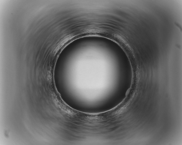 X0000101171025200807071216
