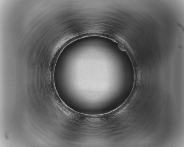 X0000101171027200807071216