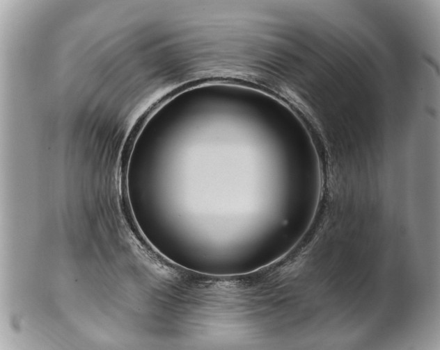 X0000101171028200807071216
