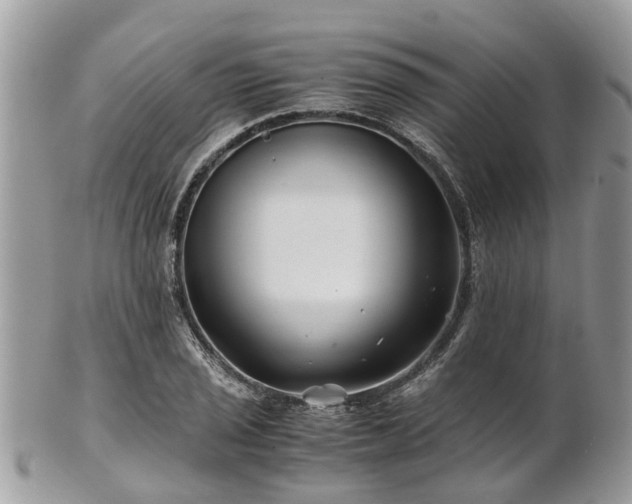 X0000101171029200807071216
