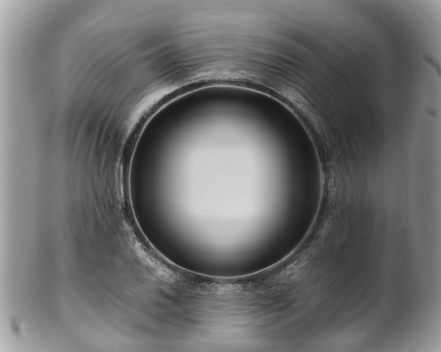X0000101171030200807071216