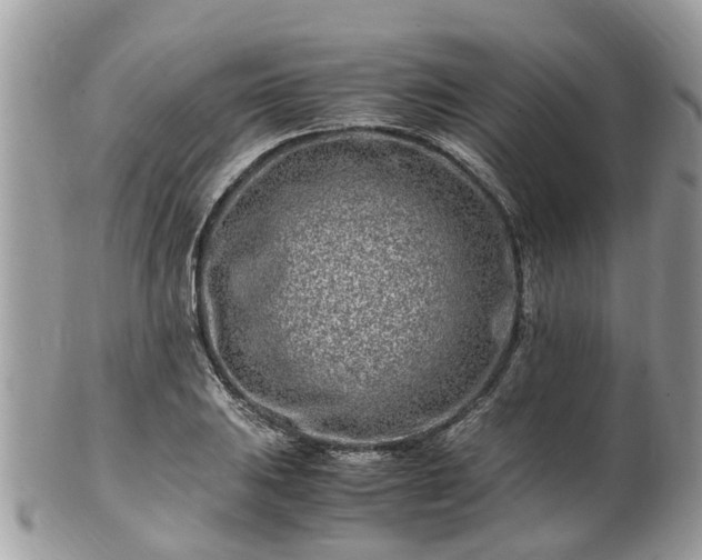 X0000101171031200807071216
