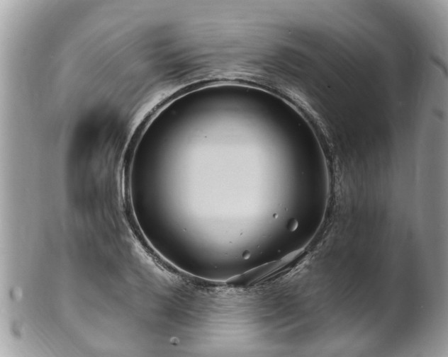 X0000101171032200807071217