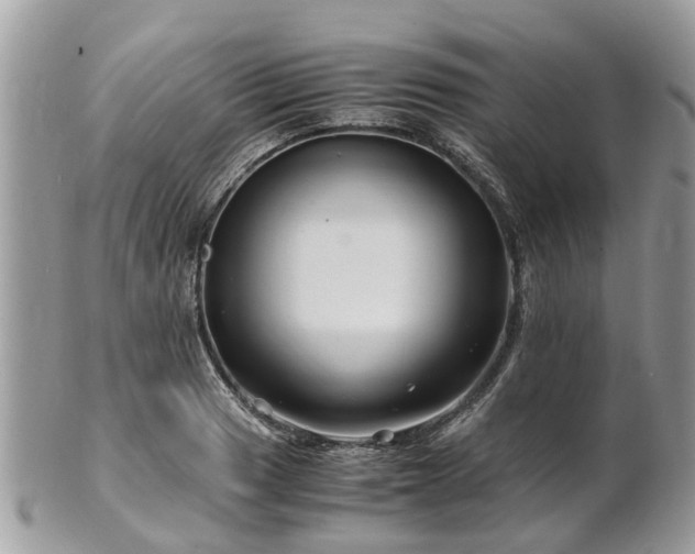 X0000101171033200807071217