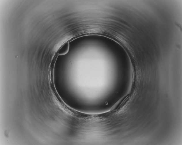 X0000101171034200807071217