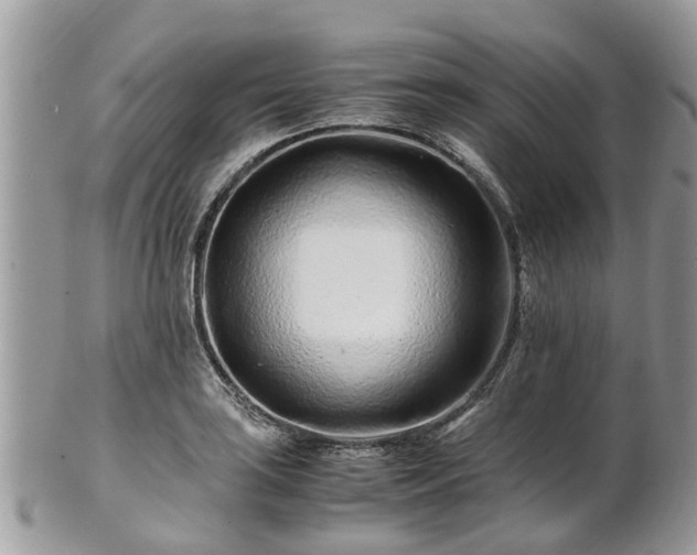 X0000101171035200807071217