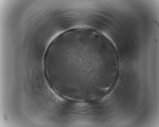 X0000101171037200807071217