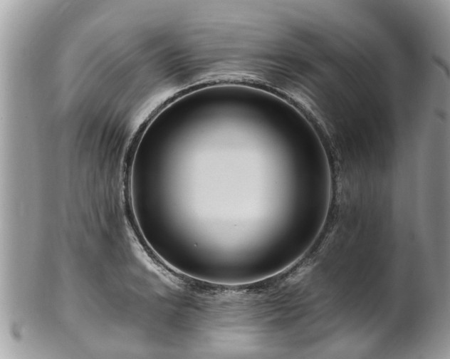 X0000101171038200807071217