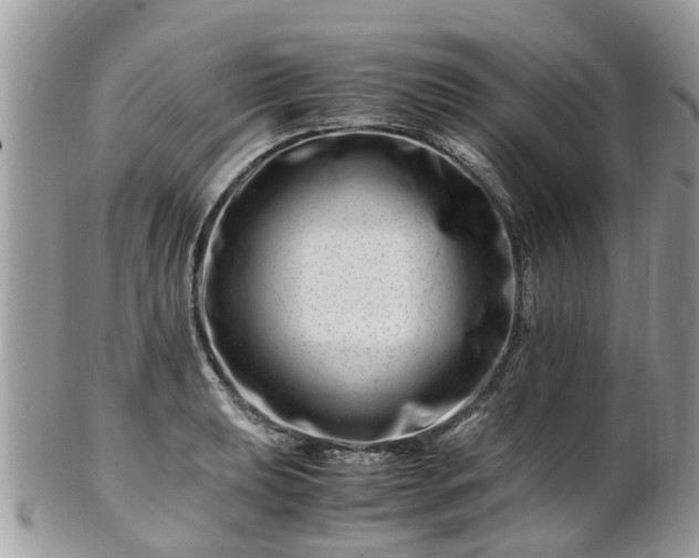 X0000101171039200807071217