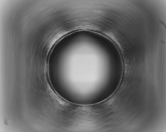 X0000101171040200807071217