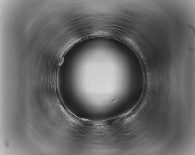 X0000101171041200807071217