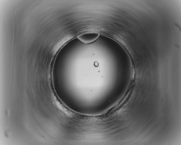 X0000101171042200807071217